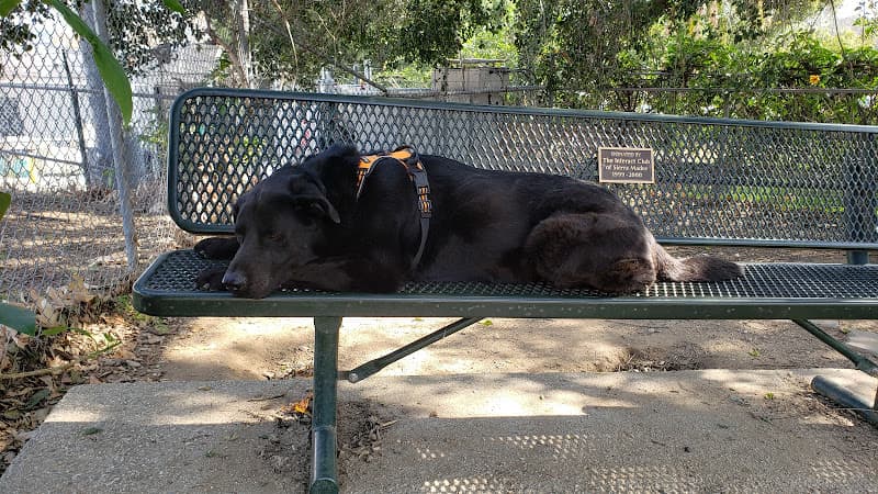 Dog Park Sierra Madre Dog Park Pasadena