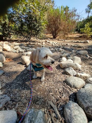 Dog Park South Pasadena Nature Park Pasadena