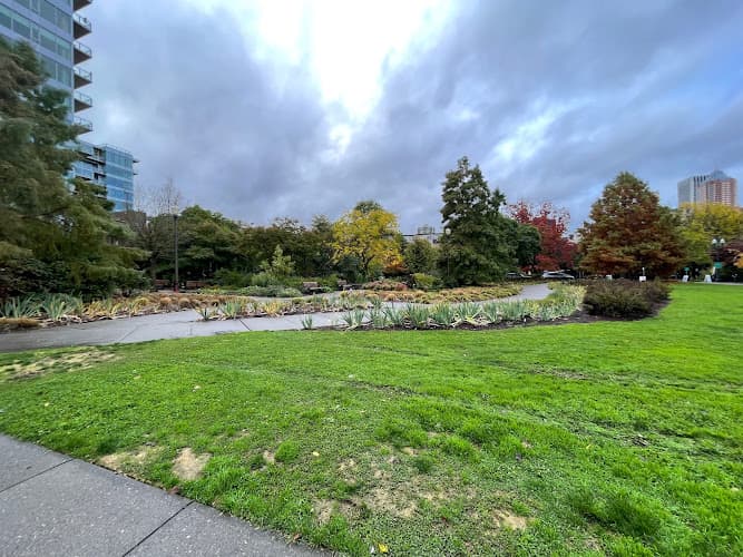 Dog Park South Waterfront Park Portland