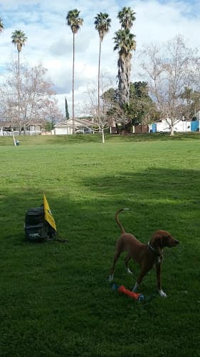 Dog Park South Weddington Park Compton