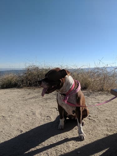 Dog Park Stough Canyon Nature Center Burbank