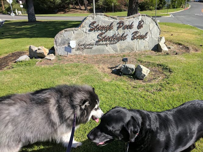 Dog Park Stough Canyon Park Burbank