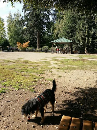 Dog Park Summerlake Dog Park Gresham