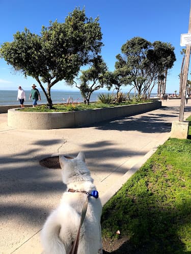 Dog Park Surfers Point at Seaside Park Ventura