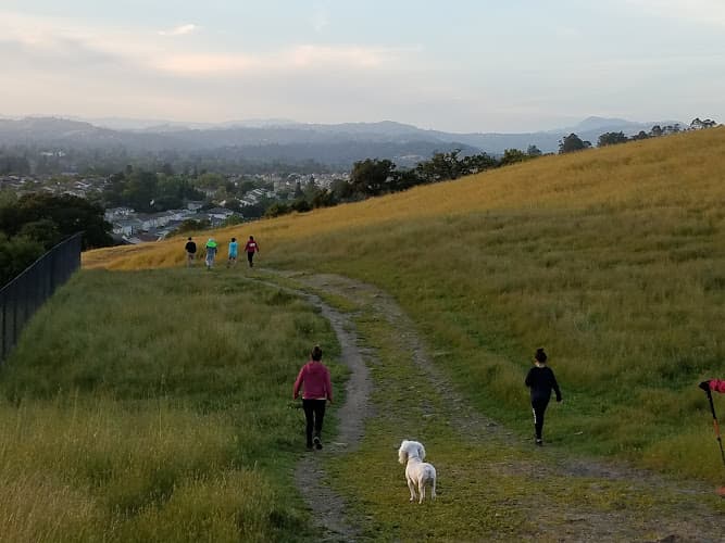 Dog Park Taylor Mountain Regional Park Santa Rosa