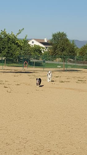 Dog Park Torrey Pines Park Temecula