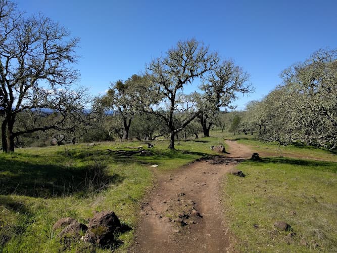 Dog Park Trione-Annadel State Park Santa Rosa