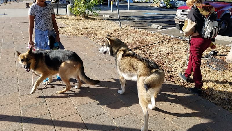 Dog Park Union Point Park Oakland
