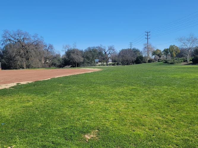 Dog Park Veteran's Memorial Park Roseville
