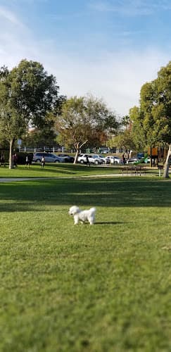 Dog Park Vintage Reserve Park Temecula