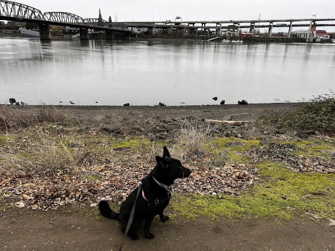 Dog Park Waterfront Park Trail, Portland