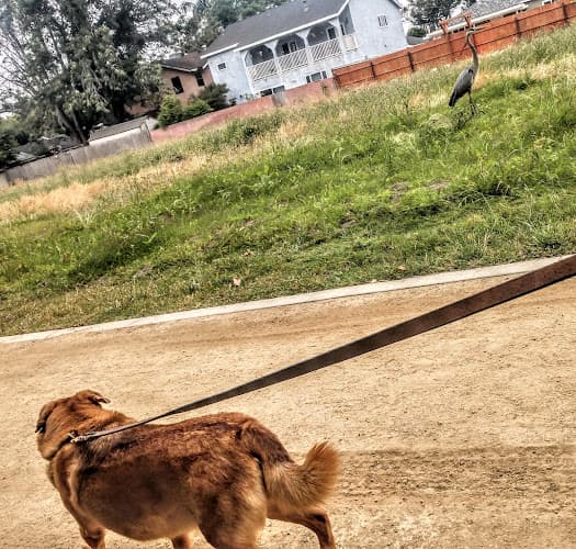 Dog Park West San Gabriel River Parkway Nature Trail Long Beach