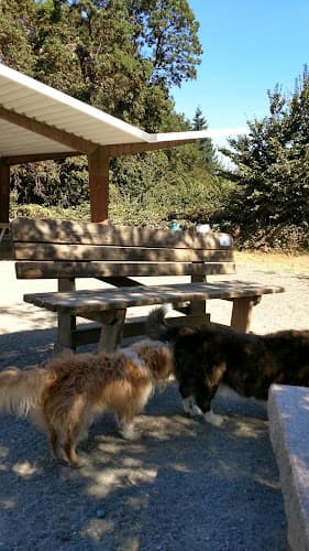 Dog Park Westcrest Park Kirkland