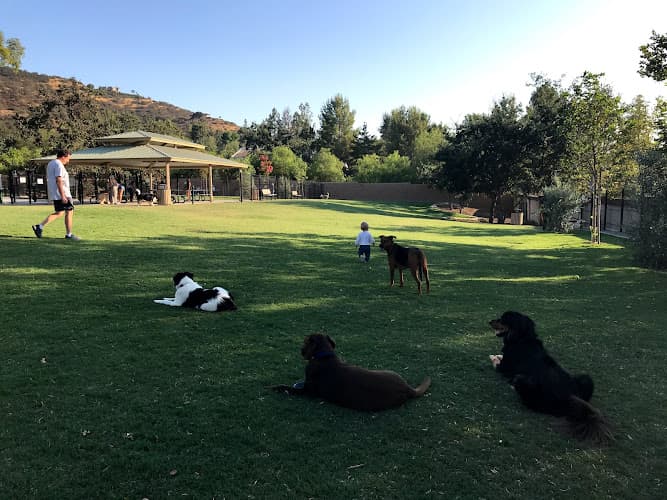 Dog Park Westlake Village Dog Park Ventura