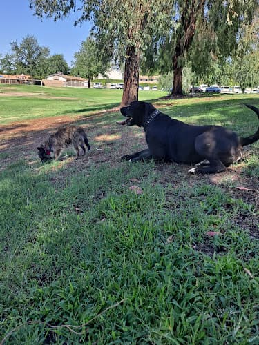 Dog Park Westwold Park Bakersfield