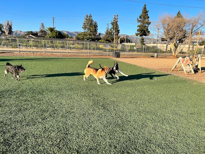 Dog Park Whitnall Highway Off-Leash Dog Park Burbank