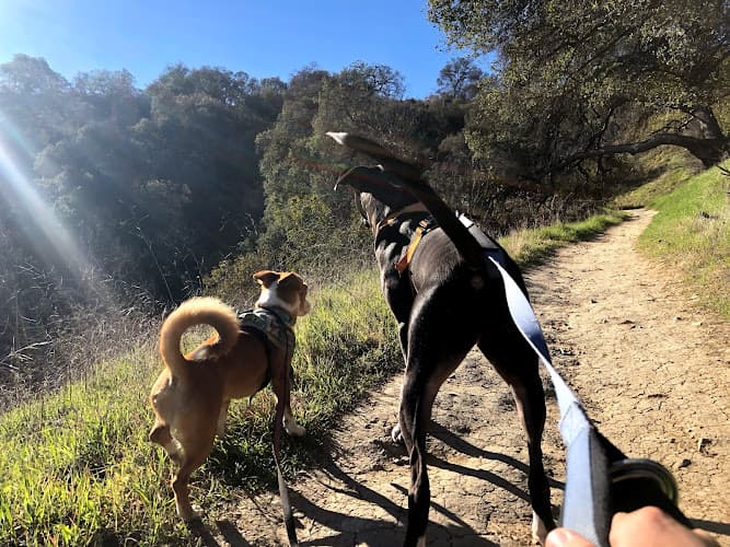 Dog Park Wilacre Park, Mountains Recreation & Conservation Authority Burbank