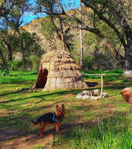Dog Park Wilderness Gardens Park Temecula