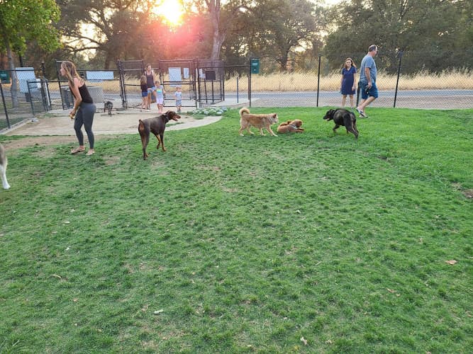 Dog Park William Bill Hughes Park Roseville