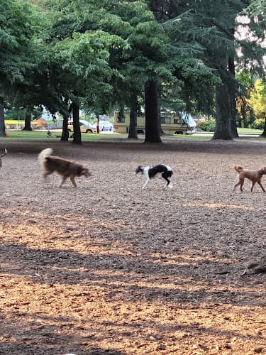 Dog Park Wilshire Park Gresham