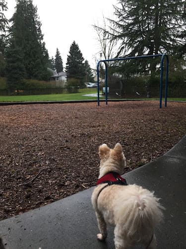 Dog Park Windsor Hills Park Renton