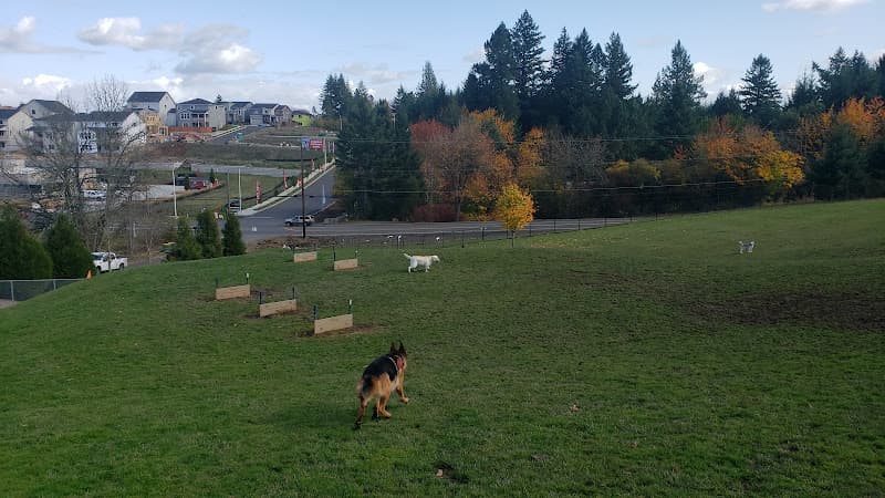Dog Park Winkelman Dog Park Portland