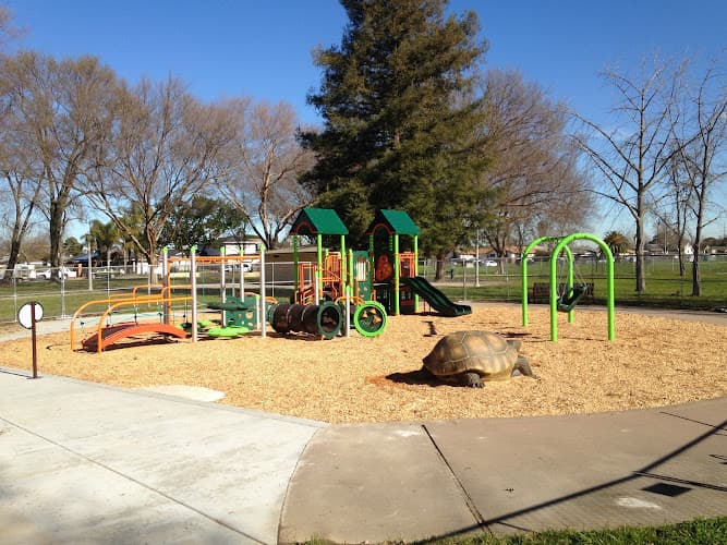 Dog Park Woodbine Park Sacramento