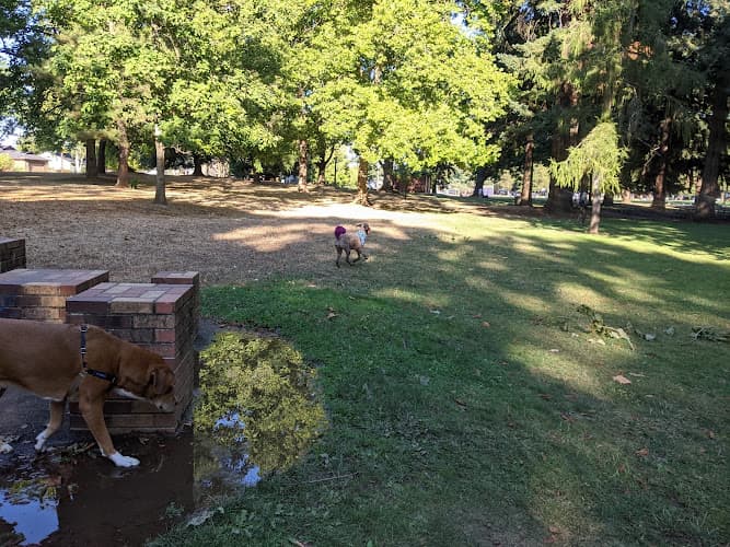Dog Park Woodstock Park Gresham