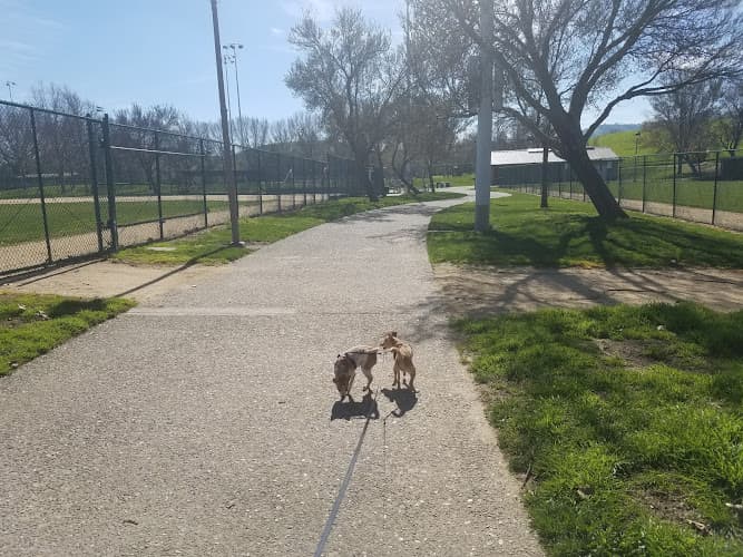 Dog Park Worth Shaw Community Park Antioch