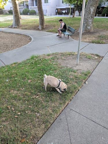 Dog Park Zapata Park Sacramento