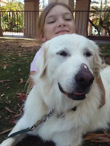 Dog trainer A Better Canine School-Dogs San Diego