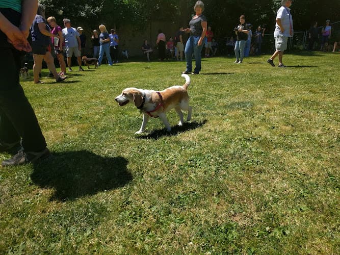 Dog trainer Academy of Canine Behavior Seattle
