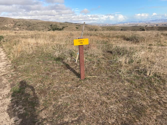 Dog trainer Action Dog Sports Thousand Oaks