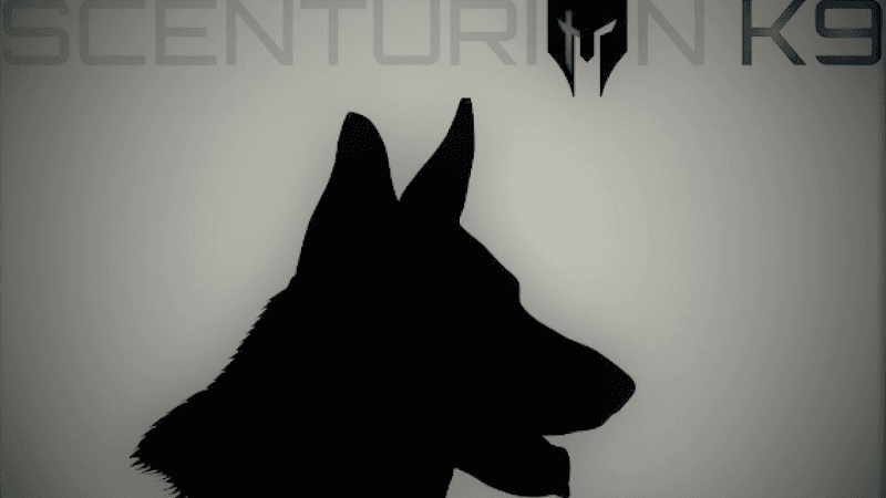 Dog trainer AEP Services & Scenturion K9 Fontana