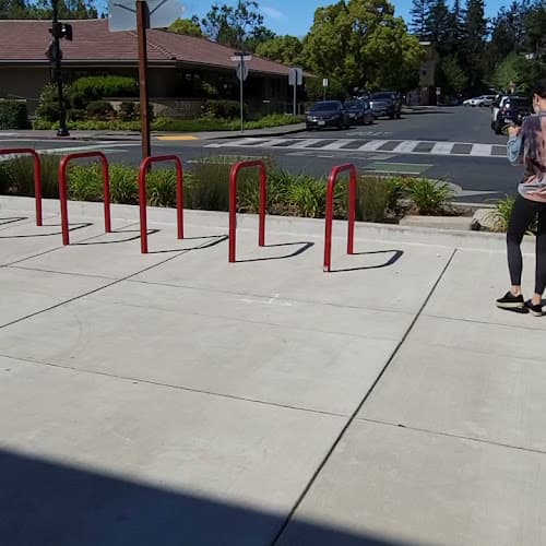 Dog trainer All About Canines Santa Rosa