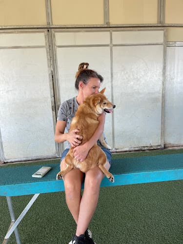 Dog trainer All About Dog Obedience Roseville