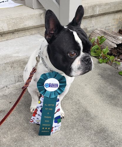 Dog trainer All Critter Pet Care & Training LLC Bellingham