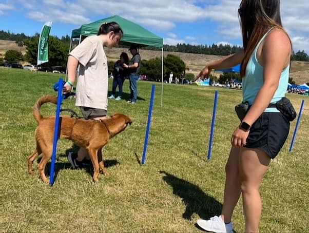 Dog trainer All Ears Petcare Tacoma