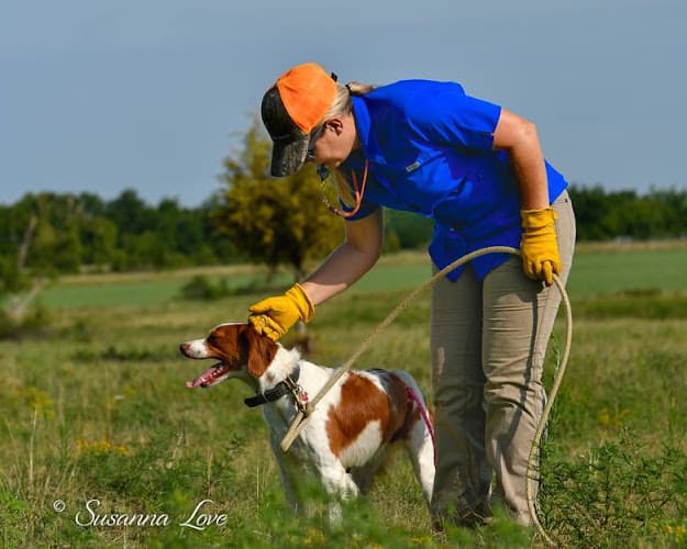 Dog trainer AllStar Gundog Kennels Indio