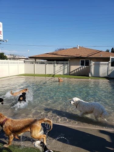 Dog trainer Animal Den Sacramento