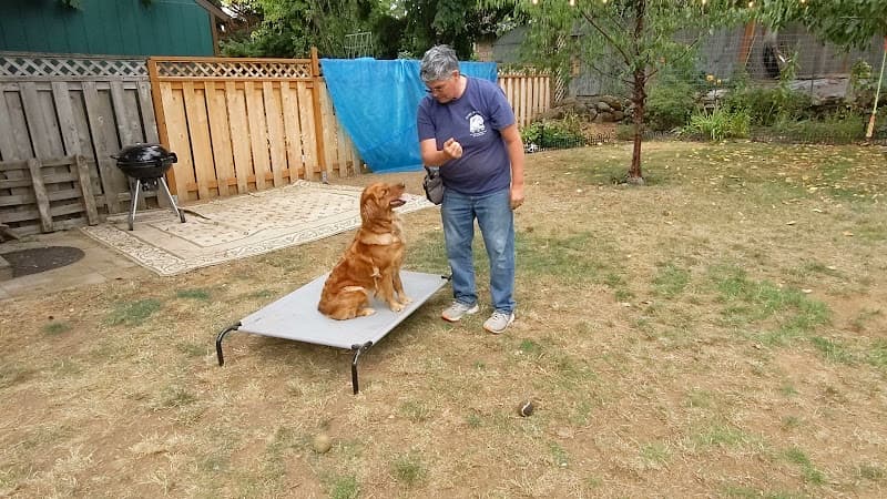 Dog trainer Animal House PNW Portland