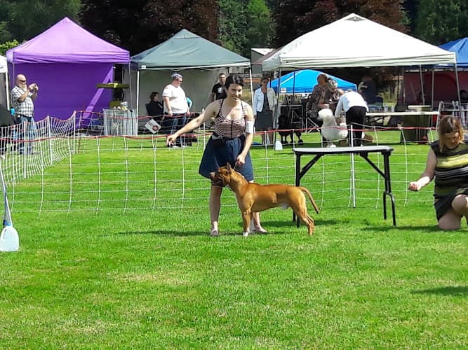 Dog trainer Argus Ranch Dog Sports & Training Center Renton