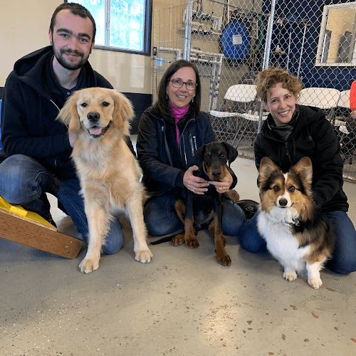 Dog trainer B The Leader Dog Training Eugene