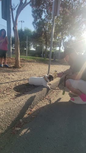 Dog trainer Bad Attitude K9 Dog Training llc Jurupa Valley