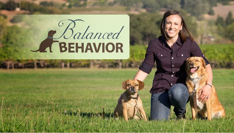 Dog trainer Balanced Behavior Inc. Santa Rosa