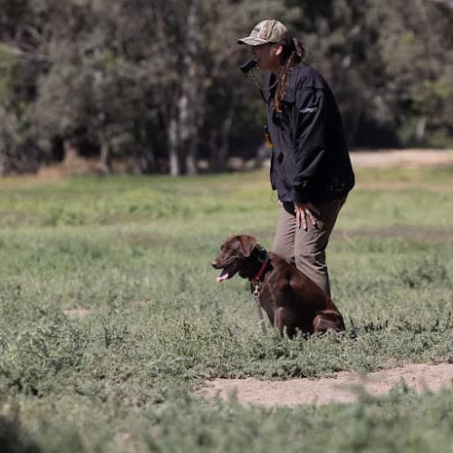 Dog trainer BCL Dog Training San Bernardino
