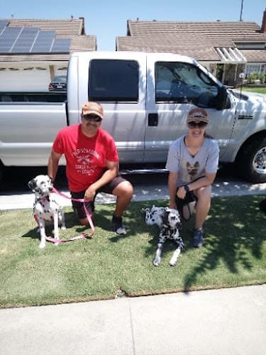 Dog trainer Beach Cities k9 Academy Westminster