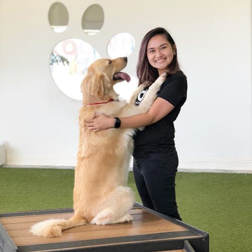 Dog trainer Beach City Dog Camp Costa Mesa