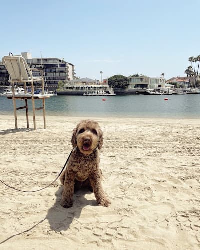 Dog trainer Beachwood K9 Long Beach