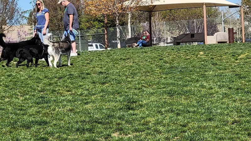 Dog trainer Bear Dog Park Roseville